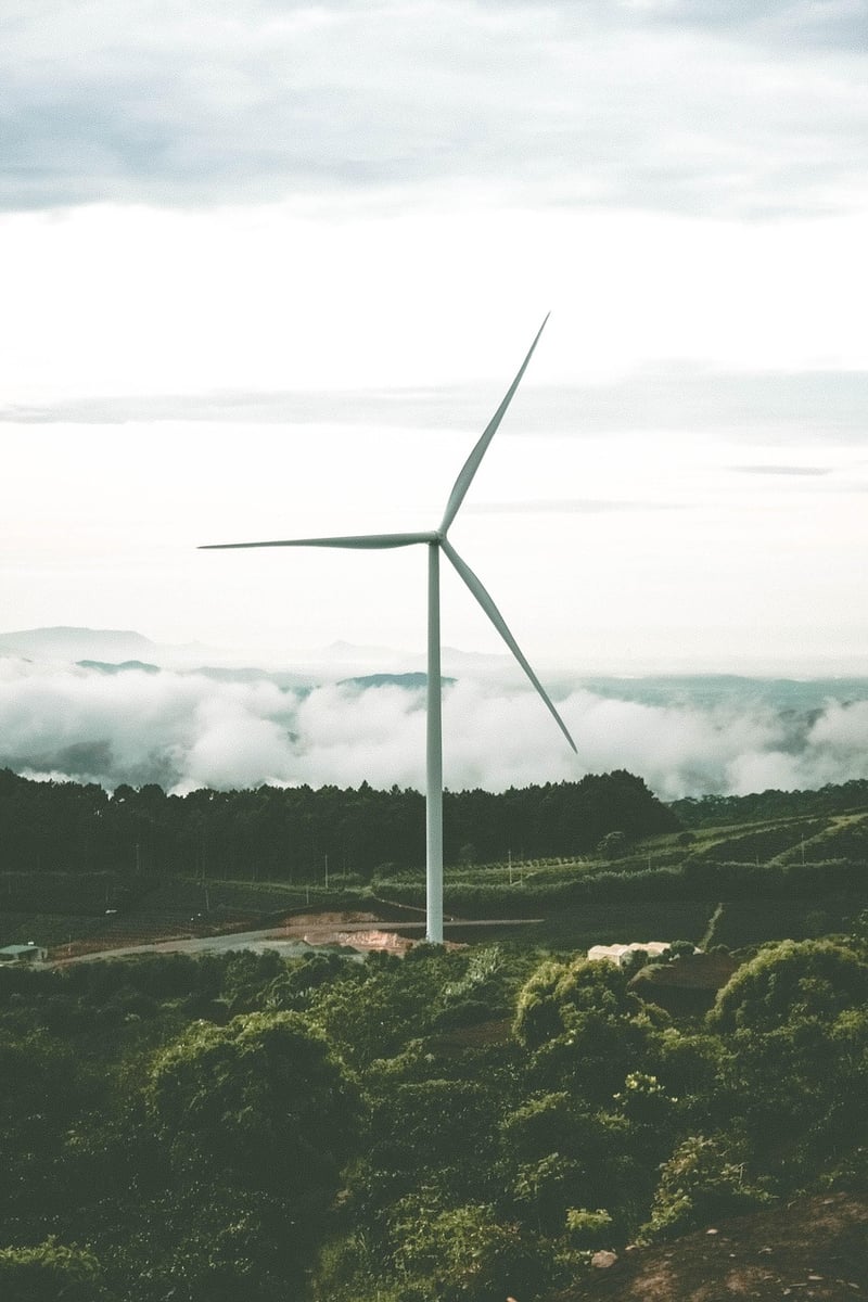Environmental Sustainability